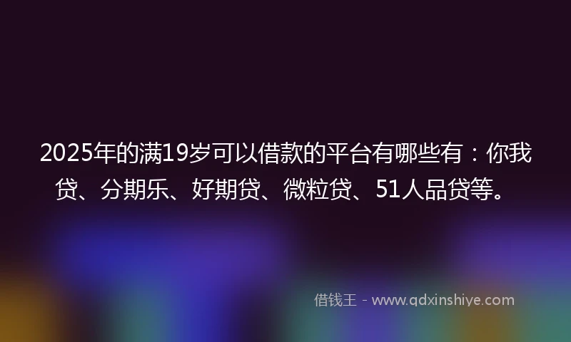 2025年的满19岁可以借款的平台有哪些有：你我贷、分期乐、好期贷、微粒贷、51人品贷等。