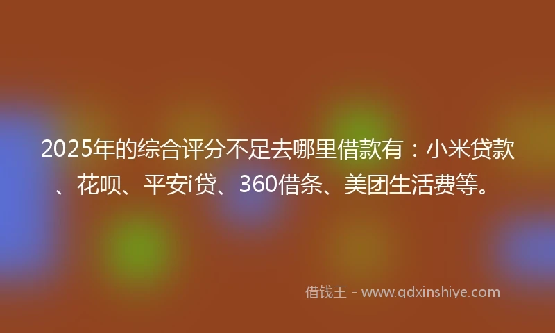 2025年的综合评分不足去哪里借款有：小米贷款、花呗、平安i贷、360借条、美团生活费等。