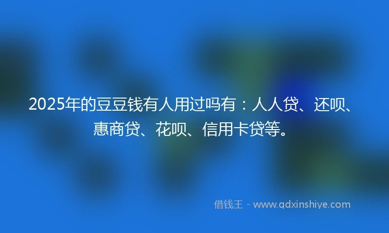2025年的豆豆钱有人用过吗有：人人贷、还呗、惠商贷、花呗、信用卡贷等。