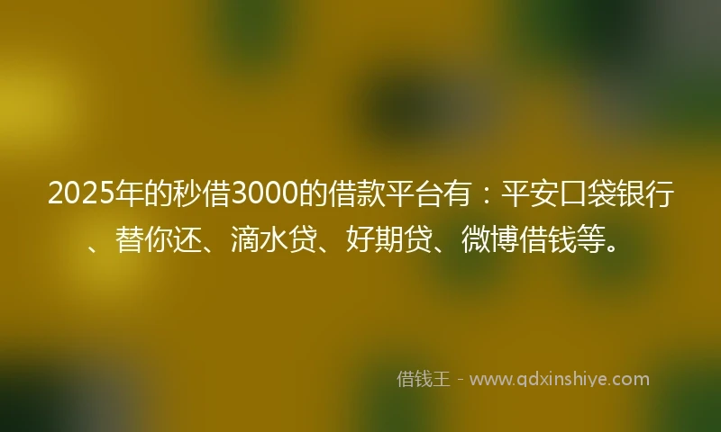 2025年的秒借3000的借款平台有：平安口袋银行、替你还、滴水贷、好期贷、微博借钱等。