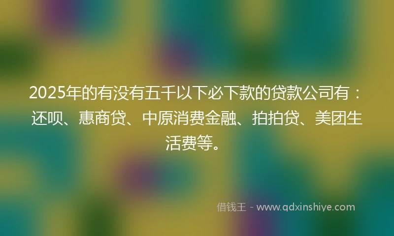 2025年的有没有五千以下必下款的贷款公司有：还呗、惠商贷、中原消费金融、拍拍贷、美团生活费等。
