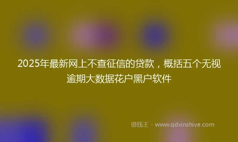 2025年最新网上不查征信的贷款，概括五个无视逾期大数据花户黑户软件