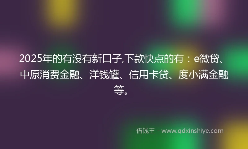 2025年的有没有新口子,下款快点的有：e微贷、中原消费金融、洋钱罐、信用卡贷、度小满金融等。