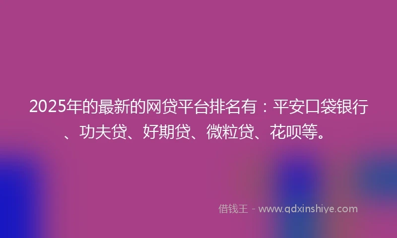 2025年的最新的网贷平台排名有：平安口袋银行、功夫贷、好期贷、微粒贷、花呗等。
