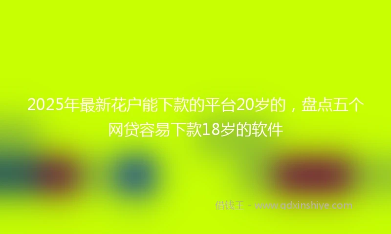 2025年最新花户能下款的平台20岁的，盘点五个网贷容易下款18岁的软件