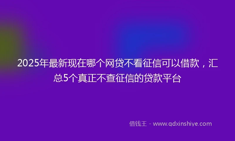 2025年最新现在哪个网贷不看征信可以借款，汇总5个真正不查征信的贷款平台