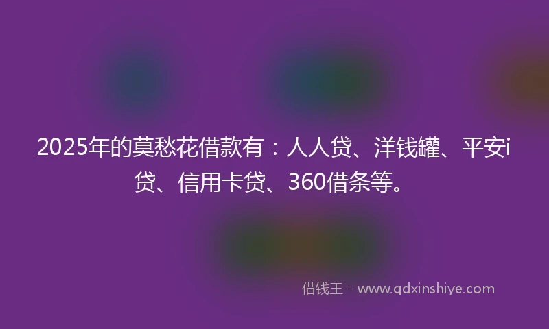 2025年的莫愁花借款有：人人贷、洋钱罐、平安i贷、信用卡贷、360借条等。