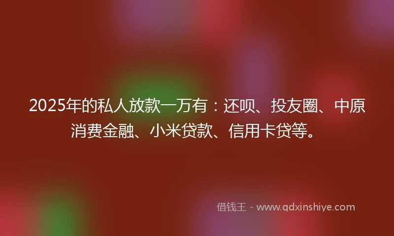 2025年的私人放款一万有：还呗、投友圈、中原消费金融、小米贷款、信用卡贷等。