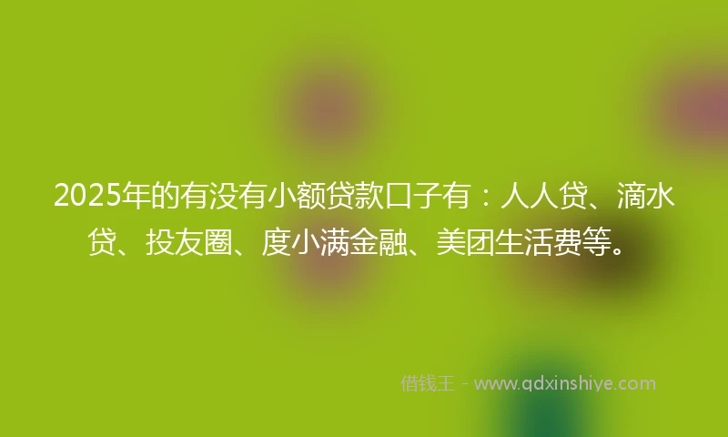 2025年的有没有小额贷款口子有：人人贷、滴水贷、投友圈、度小满金融、美团生活费等。