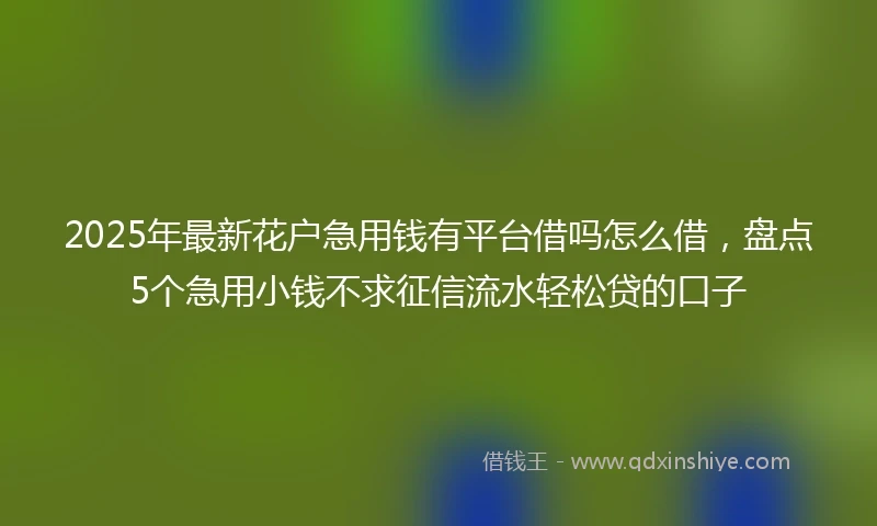 2025年最新花户急用钱有平台借吗怎么借，盘点5个急用小钱不求征信流水轻松贷的口子