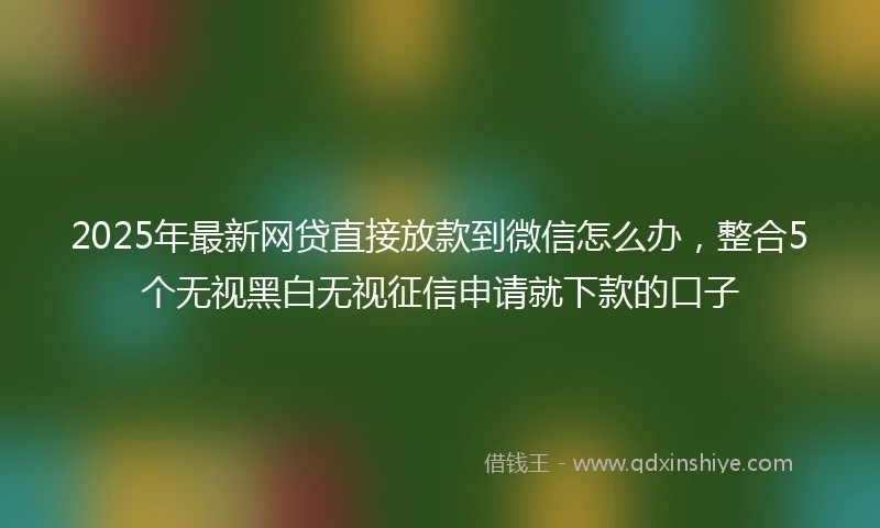 2025年最新网贷直接放款到微信怎么办，整合5个无视黑白无视征信申请就下款的口子