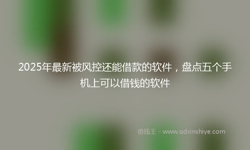2025年最新被风控还能借款的软件，盘点五个手机上可以借钱的软件