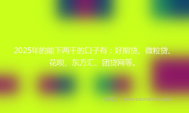 2025年的能下两千的口子有：好期贷、微粒贷、花呗、东方汇、团贷网等。
