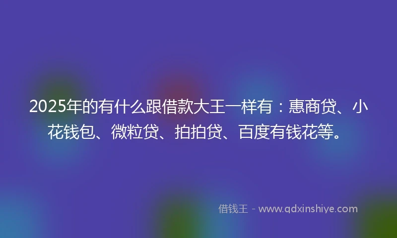 2025年的有什么跟借款大王一样有：惠商贷、小花钱包、微粒贷、拍拍贷、百度有钱花等。