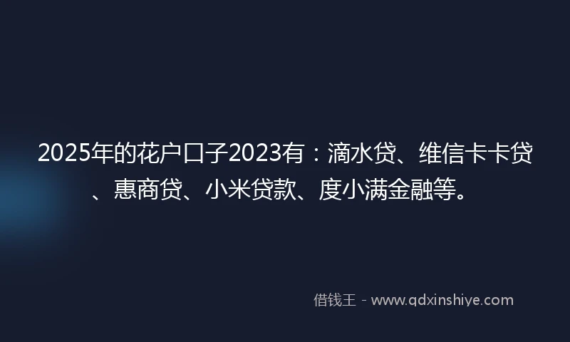 2025年的花户口子2023有：滴水贷、维信卡卡贷、惠商贷、小米贷款、度小满金融等。