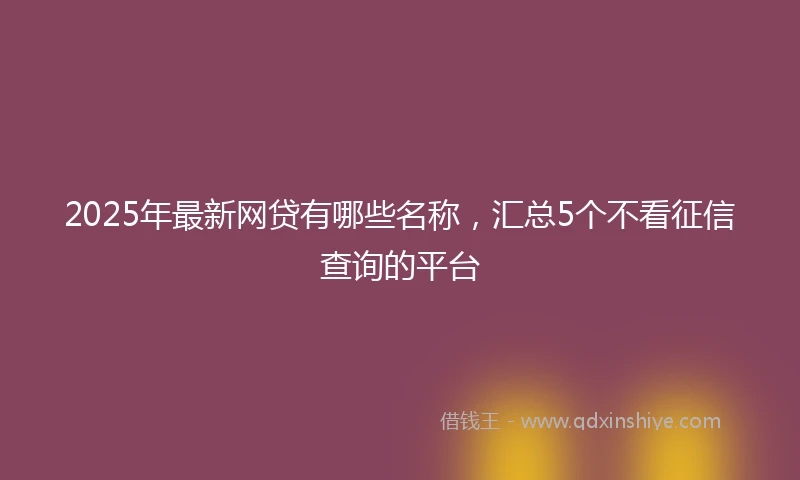 2025年最新网贷有哪些名称，汇总5个不看征信查询的平台