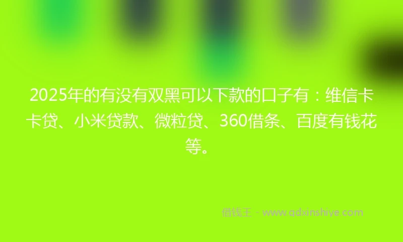 2025年的有没有双黑可以下款的口子有:维信卡卡贷、小米贷款、微粒贷、360借条、百度有钱花等。