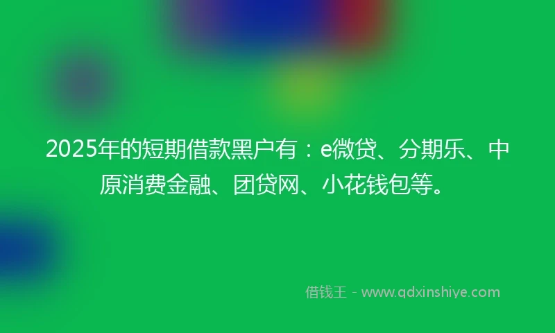 2025年的短期借款黑户有：e微贷、分期乐、中原消费金融、团贷网、小花钱包等。