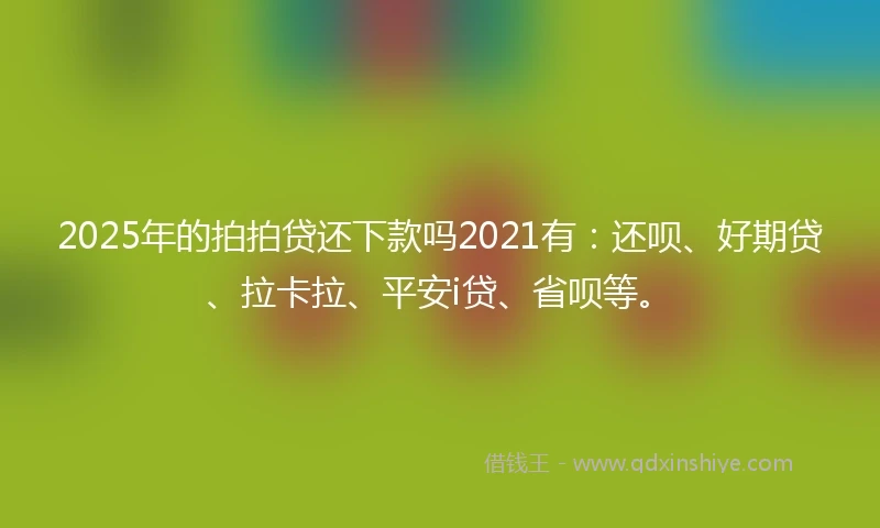 2025年的拍拍贷还下款吗2021有：还呗、好期贷、拉卡拉、平安i贷、省呗等。