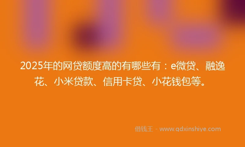 2025年的网贷额度高的有哪些有：e微贷、融逸花、小米贷款、信用卡贷、小花钱包等。