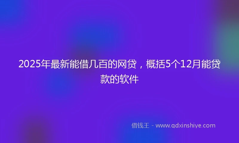 2025年最新能借几百的网贷，概括5个12月能贷款的软件