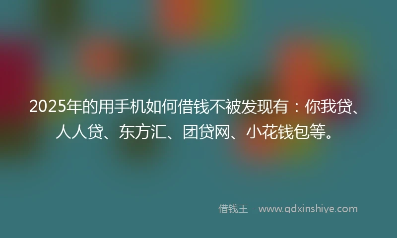 2025年的用手机如何借钱不被发现有：你我贷、人人贷、东方汇、团贷网、小花钱包等。