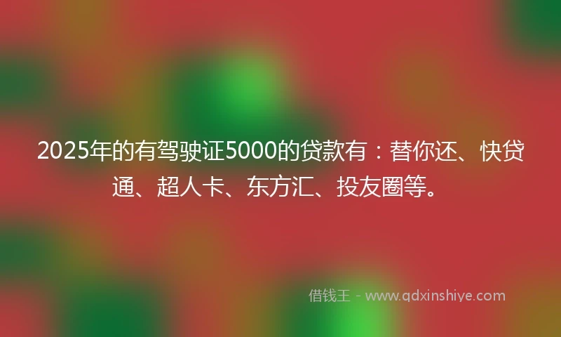 2025年的有驾驶证5000的贷款有：替你还、快贷通、超人卡、东方汇、投友圈等。