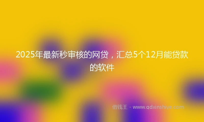 2025年最新秒审核的网贷，汇总5个12月能贷款的软件