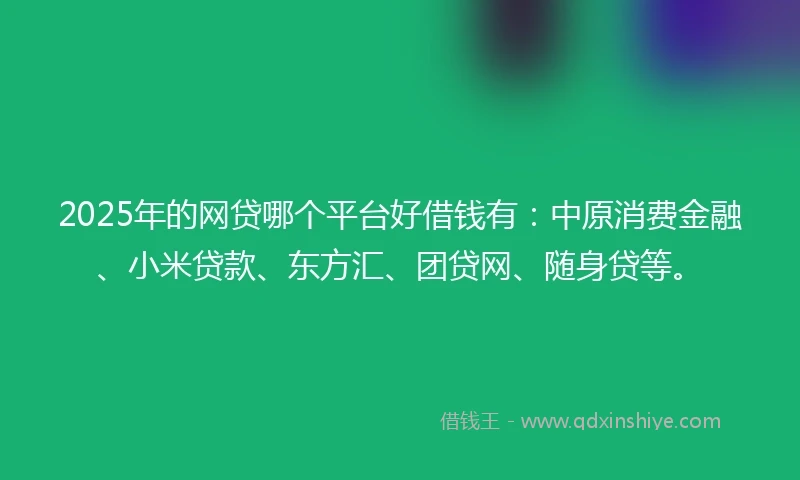 2025年的网贷哪个平台好借钱有：中原消费金融、小米贷款、东方汇、团贷网、随身贷等。