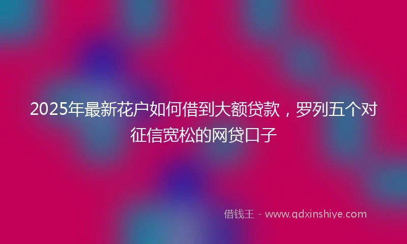 2025年最新花户如何借到大额贷款，罗列五个对征信宽松的网贷口子