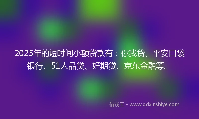 2025年的短时间小额贷款有：你我贷、平安口袋银行、51人品贷、好期贷、京东金融等。