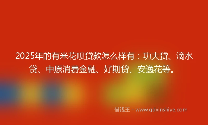 2025年的有米花呗贷款怎么样有：功夫贷、滴水贷、中原消费金融、好期贷、安逸花等。