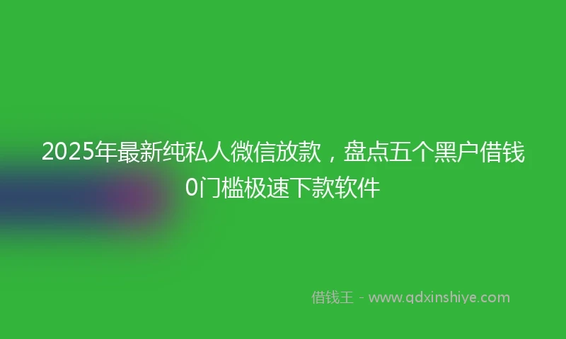 2025年最新纯私人微信放款，盘点五个黑户借钱0门槛极速下款软件