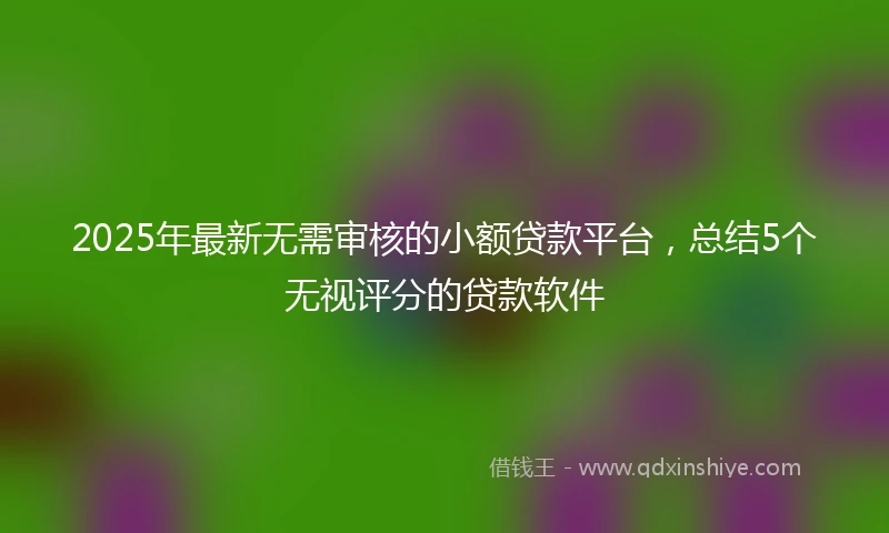 2025年最新无需审核的小额贷款平台，总结5个无视评分的贷款软件