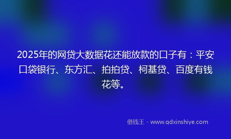 2025年的网贷大数据花还能放款的口子有：平安口袋银行、东方汇、拍拍贷、柯基贷、百度有钱花等。