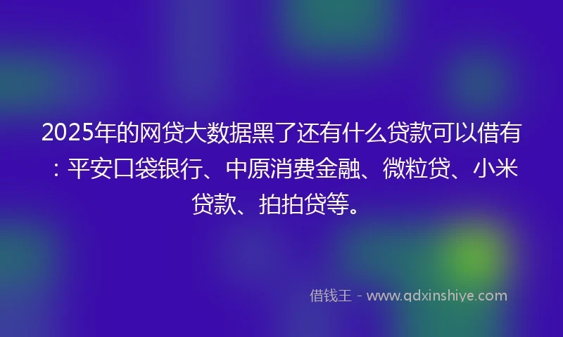 2025年的网贷大数据黑了还有什么贷款可以借有：平安口袋银行、中原消费金融、微粒贷、小米贷款、拍拍贷等。