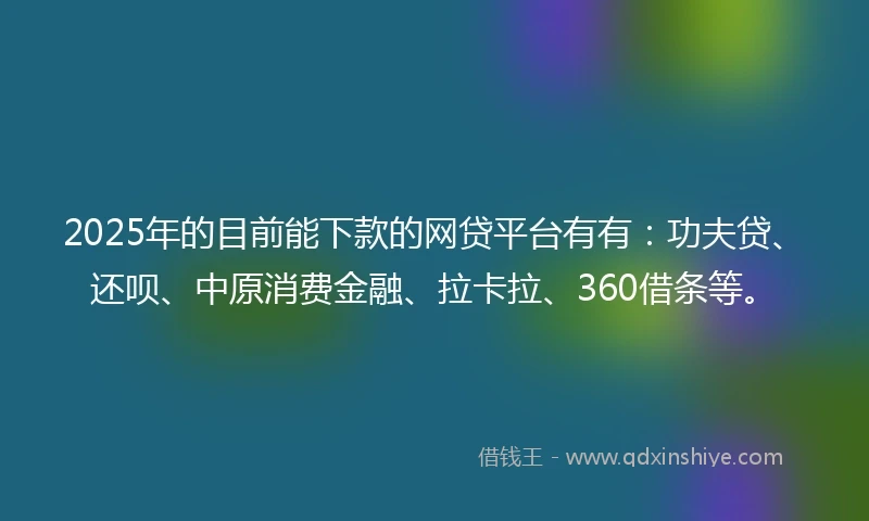 2025年的目前能下款的网贷平台有有：功夫贷、还呗、中原消费金融、拉卡拉、360借条等。