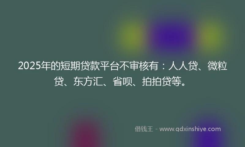 2025年的短期贷款平台不审核有：人人贷、微粒贷、东方汇、省呗、拍拍贷等。