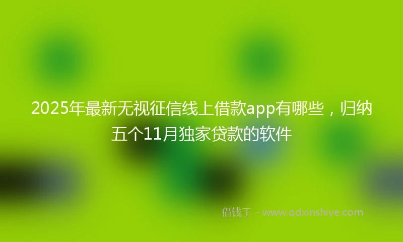 2025年最新无视征信线上借款app有哪些，归纳五个11月独家贷款的软件