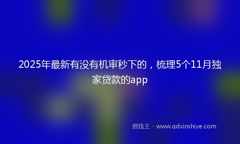 2025年最新有没有机审秒下的，梳理5个11月独家贷款的app