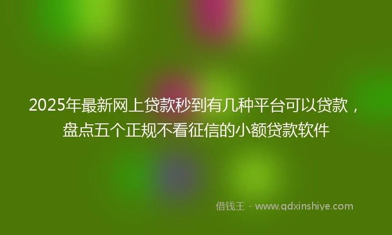 2025年最新网上贷款秒到有几种平台可以贷款，盘点五个正规不看征信的小额贷款软件