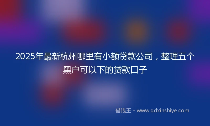 2025年最新杭州哪里有小额贷款公司，整理五个黑户可以下的贷款口子