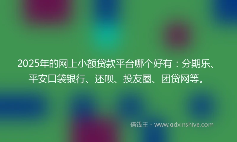 2025年的网上小额贷款平台哪个好有：分期乐、平安口袋银行、还呗、投友圈、团贷网等。
