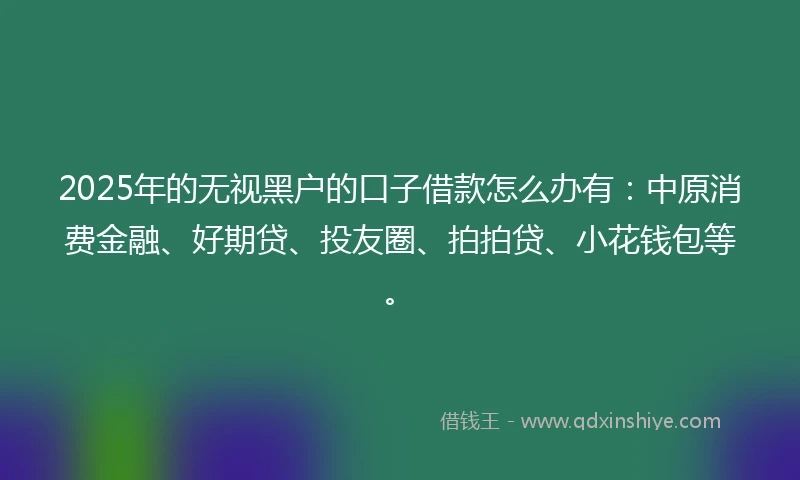 2025年的无视黑户的口子借款怎么办有：中原消费金融、好期贷、投友圈、拍拍贷、小花钱包等。