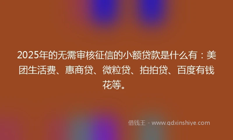 2025年的无需审核征信的小额贷款是什么有：美团生活费、惠商贷、微粒贷、拍拍贷、百度有钱花等。