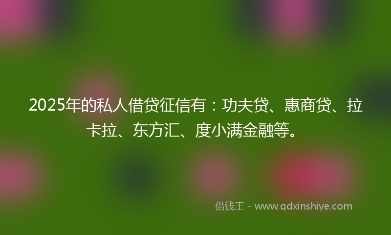 2025年的私人借贷征信有：功夫贷、惠商贷、拉卡拉、东方汇、度小满金融等。