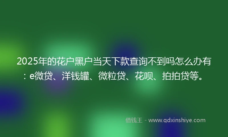 2025年的花户黑户当天下款查询不到吗怎么办有：e微贷、洋钱罐、微粒贷、花呗、拍拍贷等。
