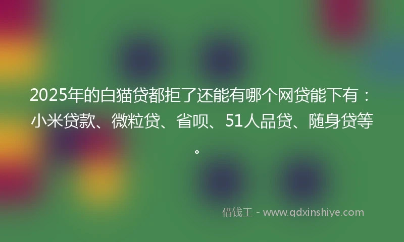 2025年的白猫贷都拒了还能有哪个网贷能下有：小米贷款、微粒贷、省呗、51人品贷、随身贷等。