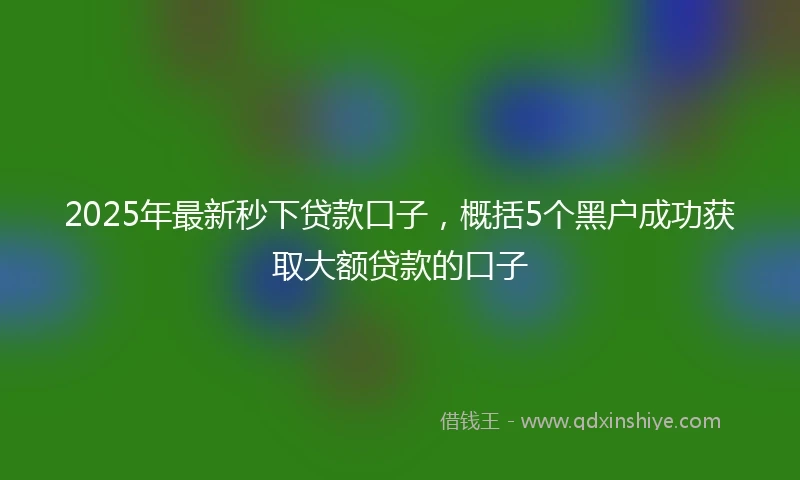2025年最新秒下贷款口子，概括5个黑户成功获取大额贷款的口子