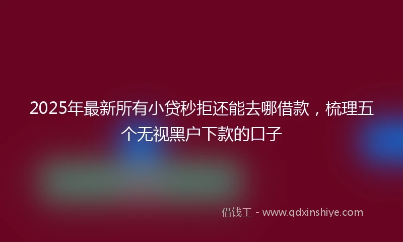 2025年最新所有小贷秒拒还能去哪借款，梳理五个无视黑户下款的口子